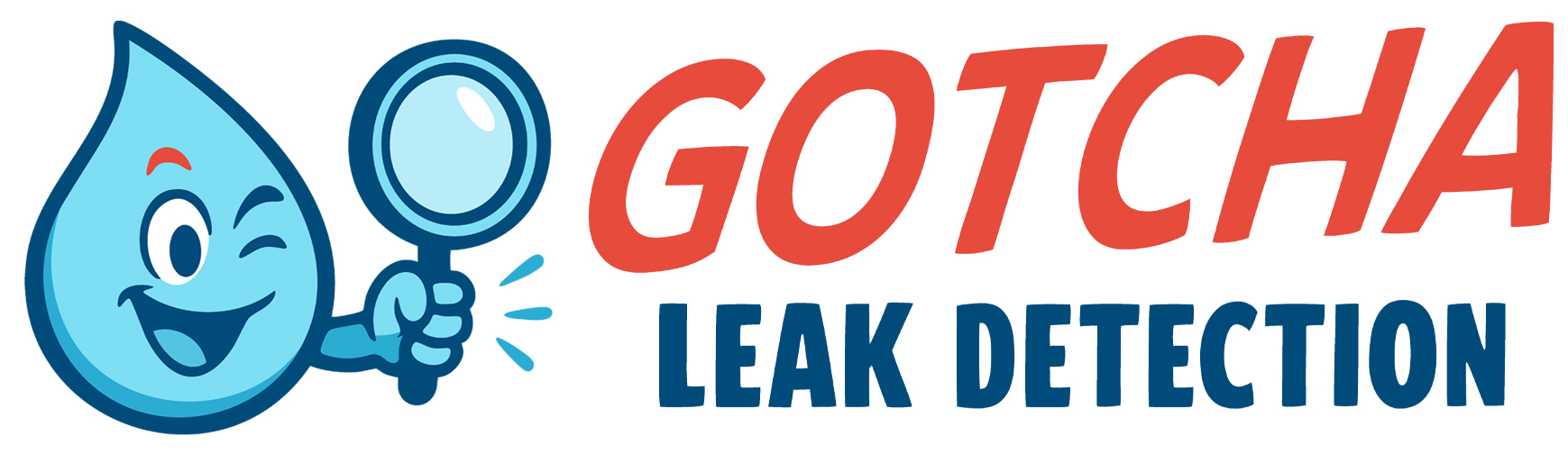Gotcha Leak Detection