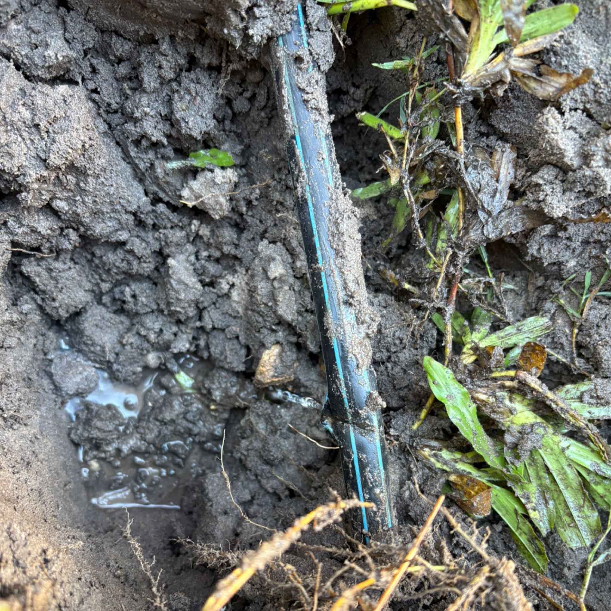 Pipe with hole showing location of water leak.
